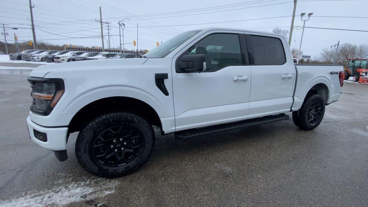 2026 Ford F-150 XLT Photo3