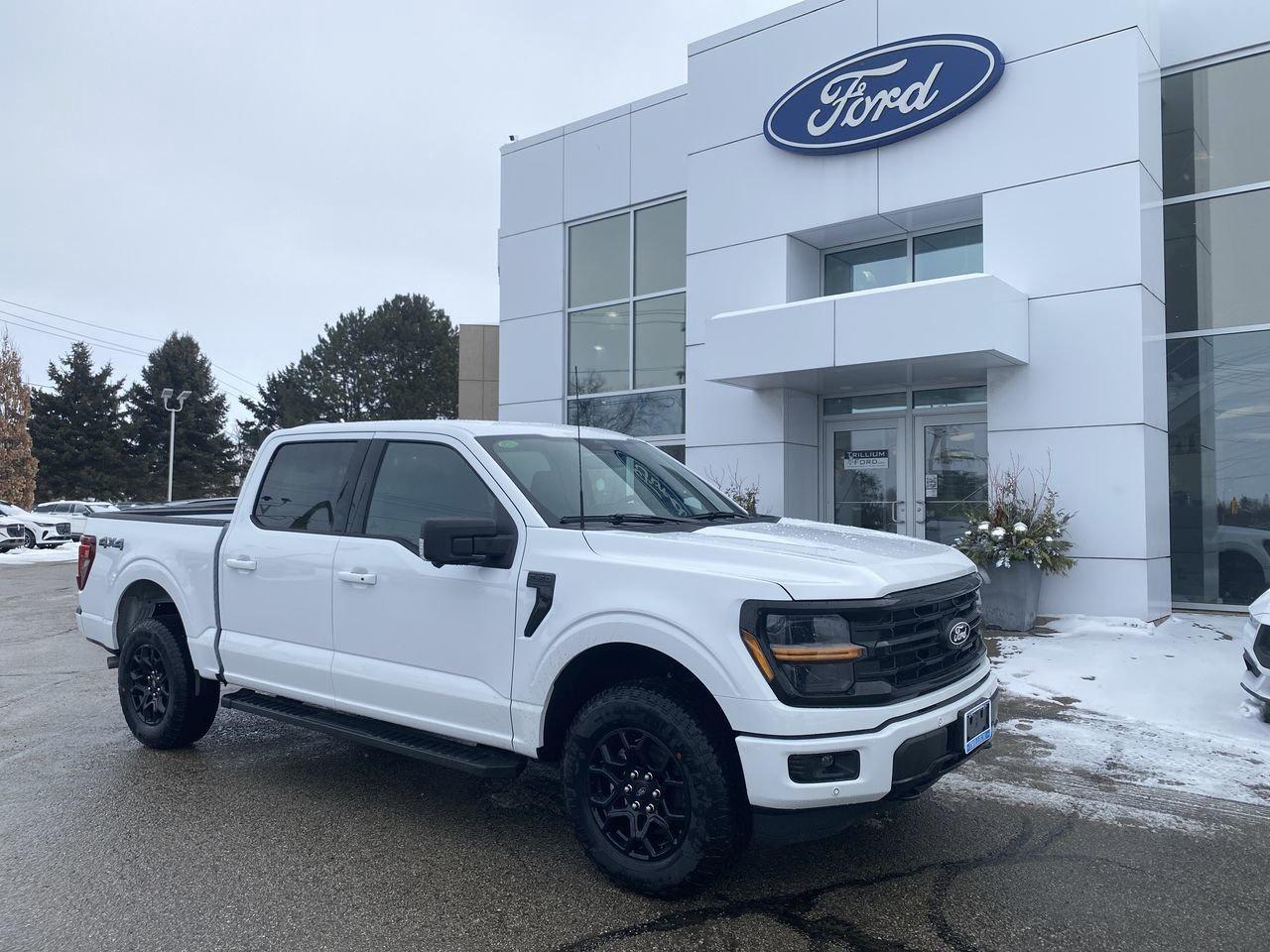 2026 Ford F-150 XLT Photo