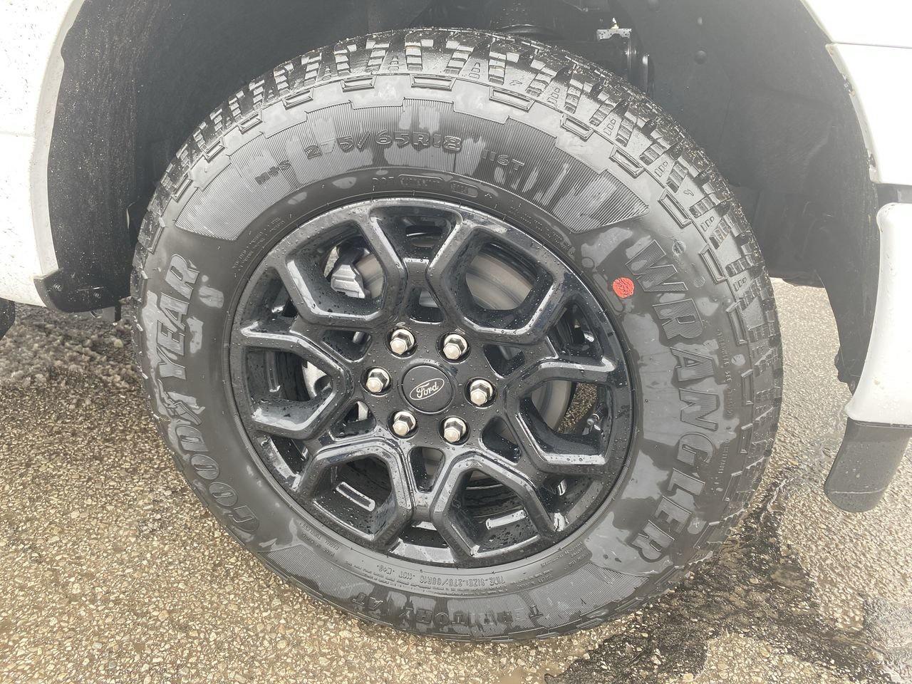 2026 Ford F-150 XLT Photo