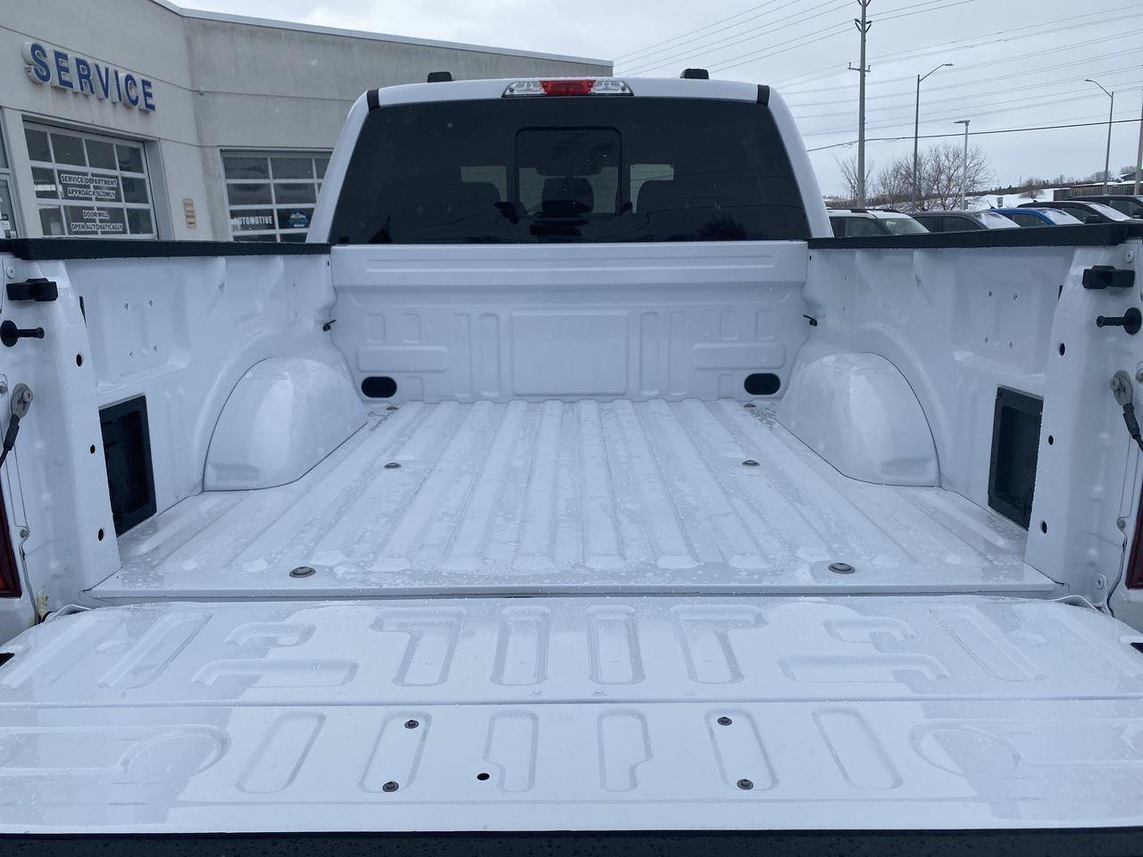 2026 Ford F-150 XLT Photo