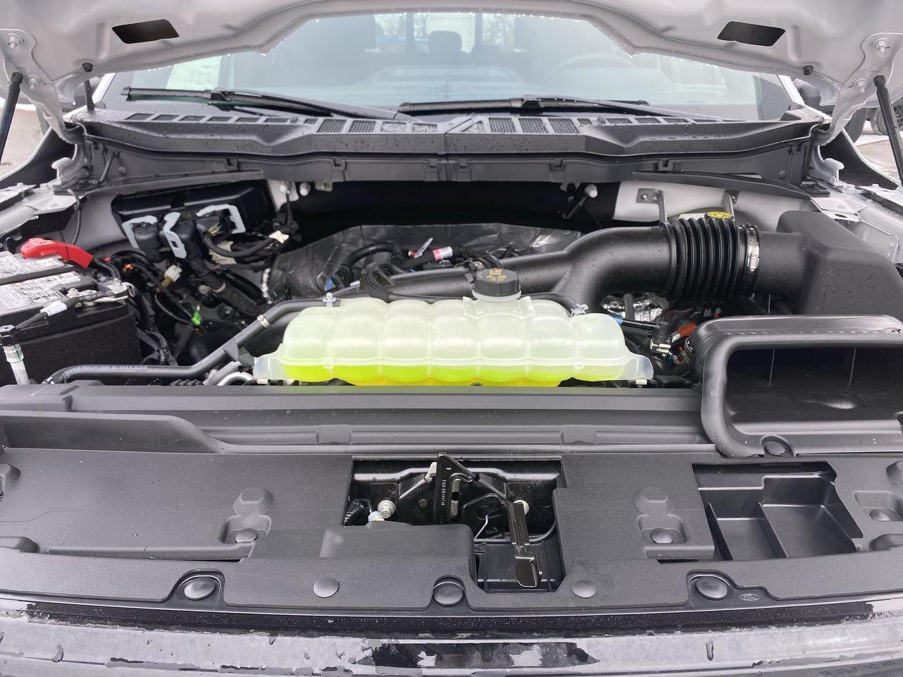 2026 Ford F-150 XLT Photo