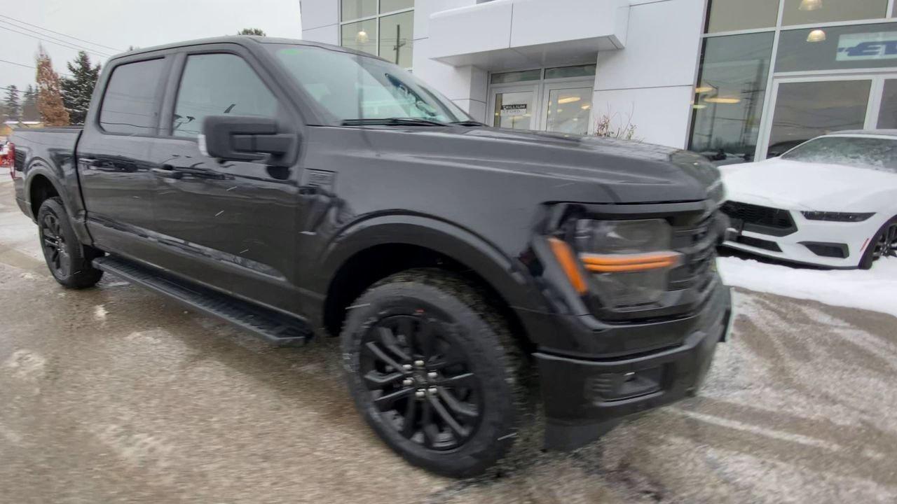 2026 Ford F-150 XLT Photo