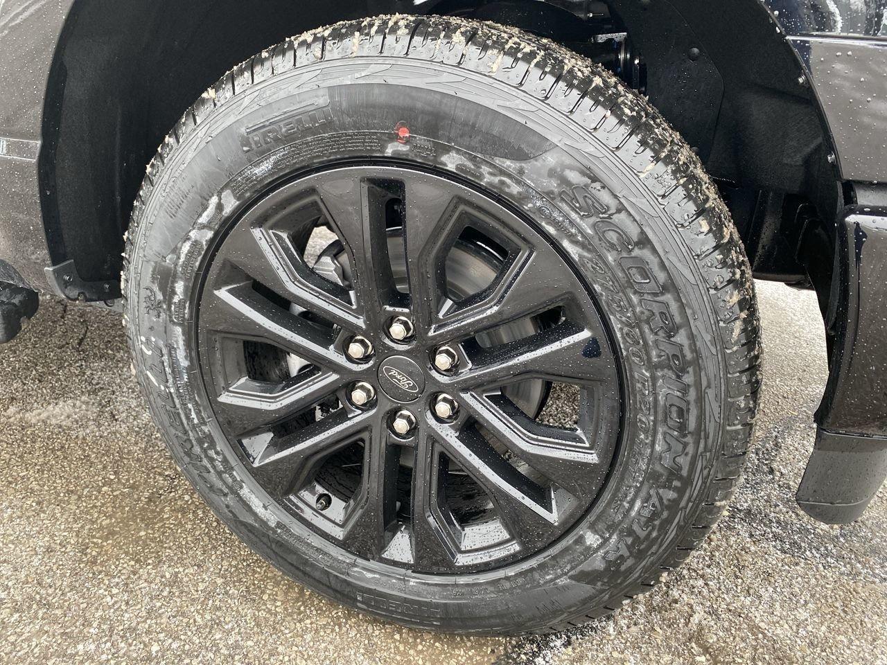 2026 Ford F-150 XLT Photo