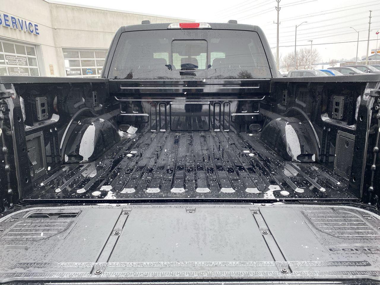 2026 Ford F-150 XLT Photo