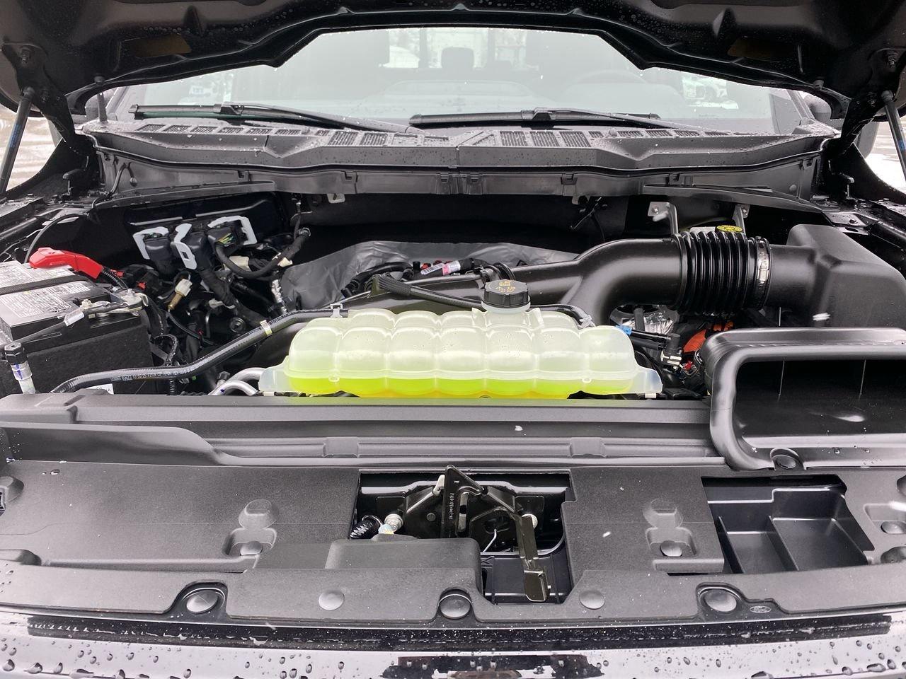 2026 Ford F-150 XLT Photo