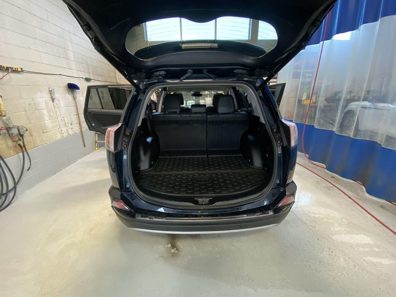 2018 Toyota RAV4 LIMITED  Photo