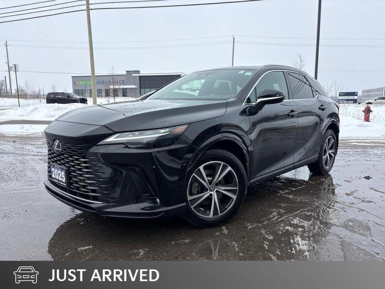 2025 Lexus RX 350H Base 4dr All-Wheel Drive Photo