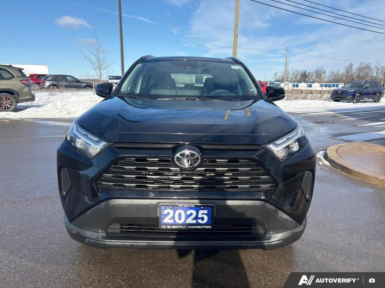 2025 Toyota RAV4 XLE 4dr All-wheel Drive Photo