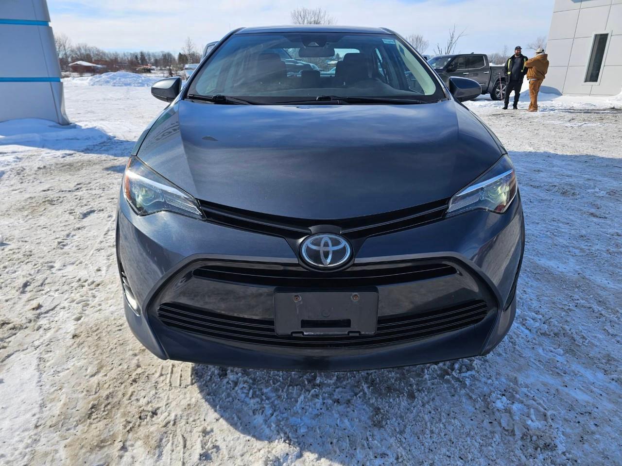 2019 Toyota Corolla LE (CVTi-S) 4dr Sedan Photo