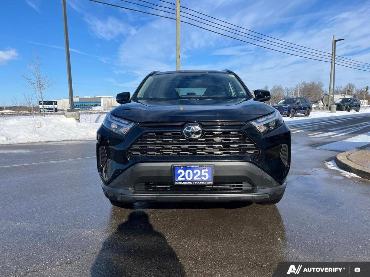 2025 Toyota RAV4 XLE 4dr All-wheel Drive Photo