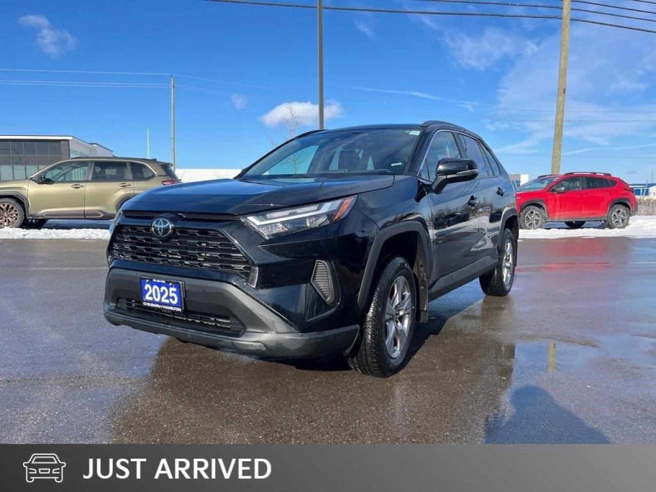 2025 Toyota RAV4 XLE 4dr All-wheel Drive Photo0