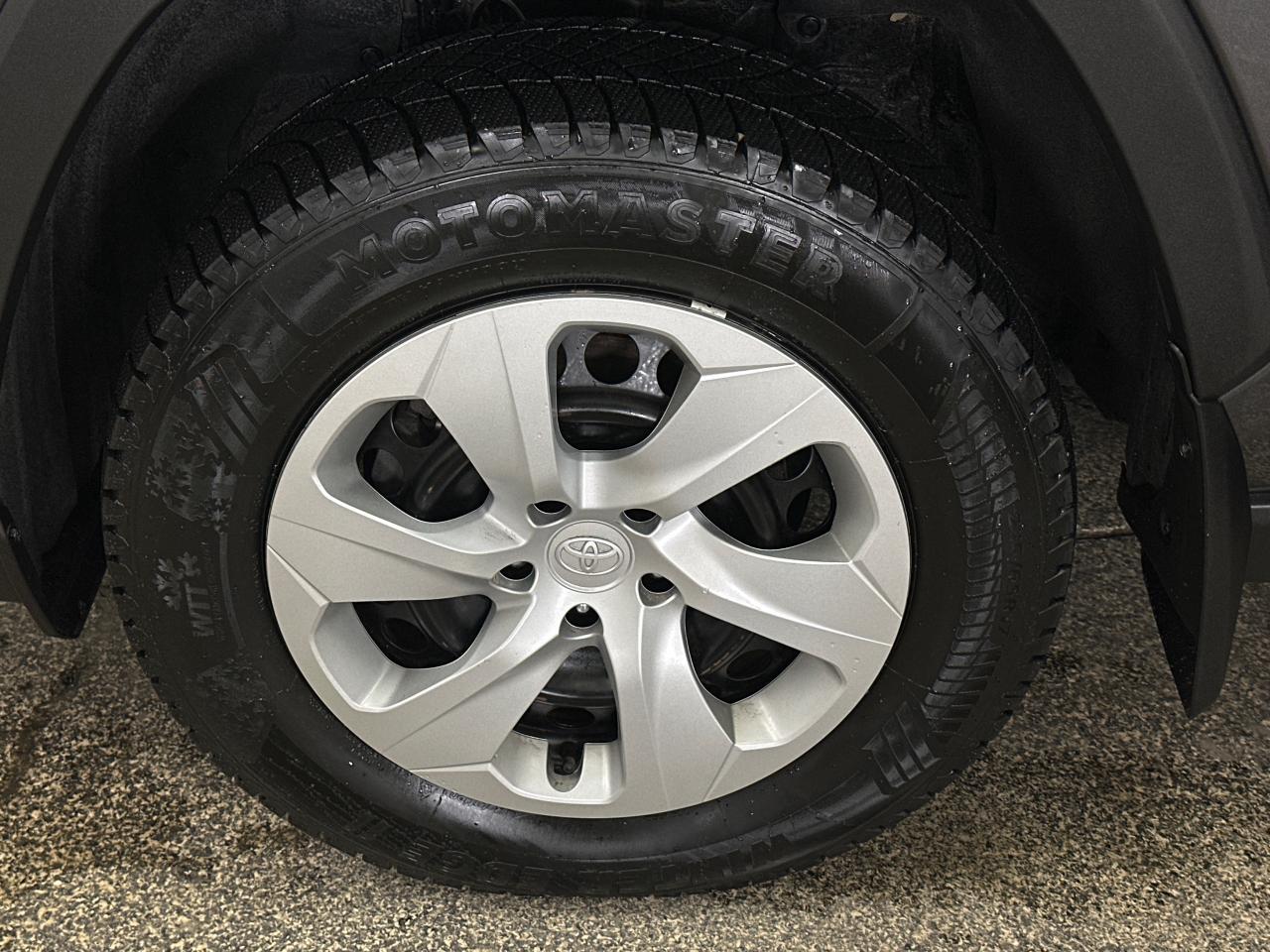 2023 Toyota RAV4 LE 4dr All-wheel Drive Photo