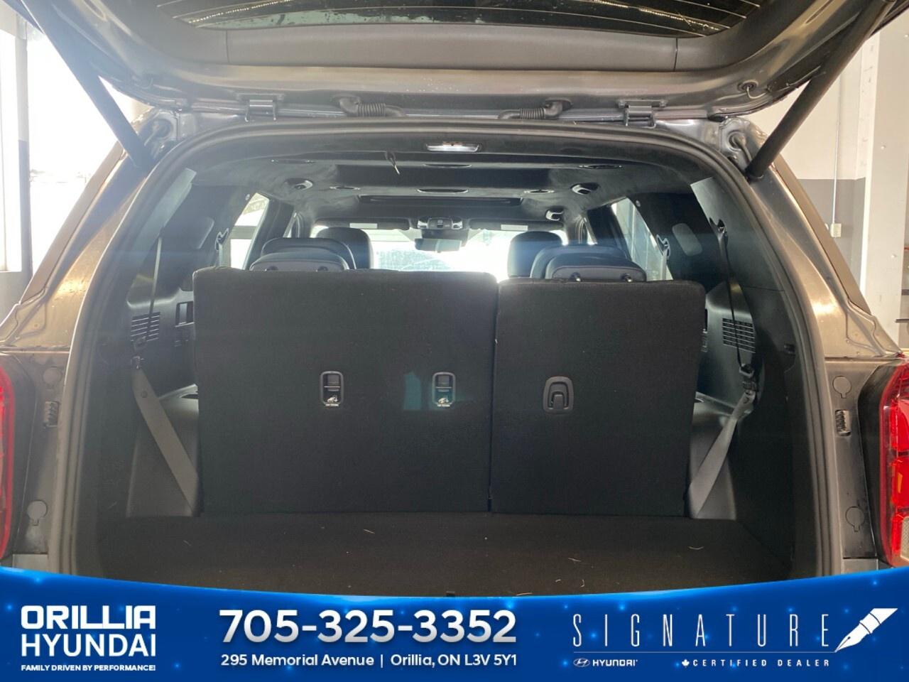 2025 Hyundai PALISADE Ultimate Calligraphy w/Beige 7-Passenger AWD Photo