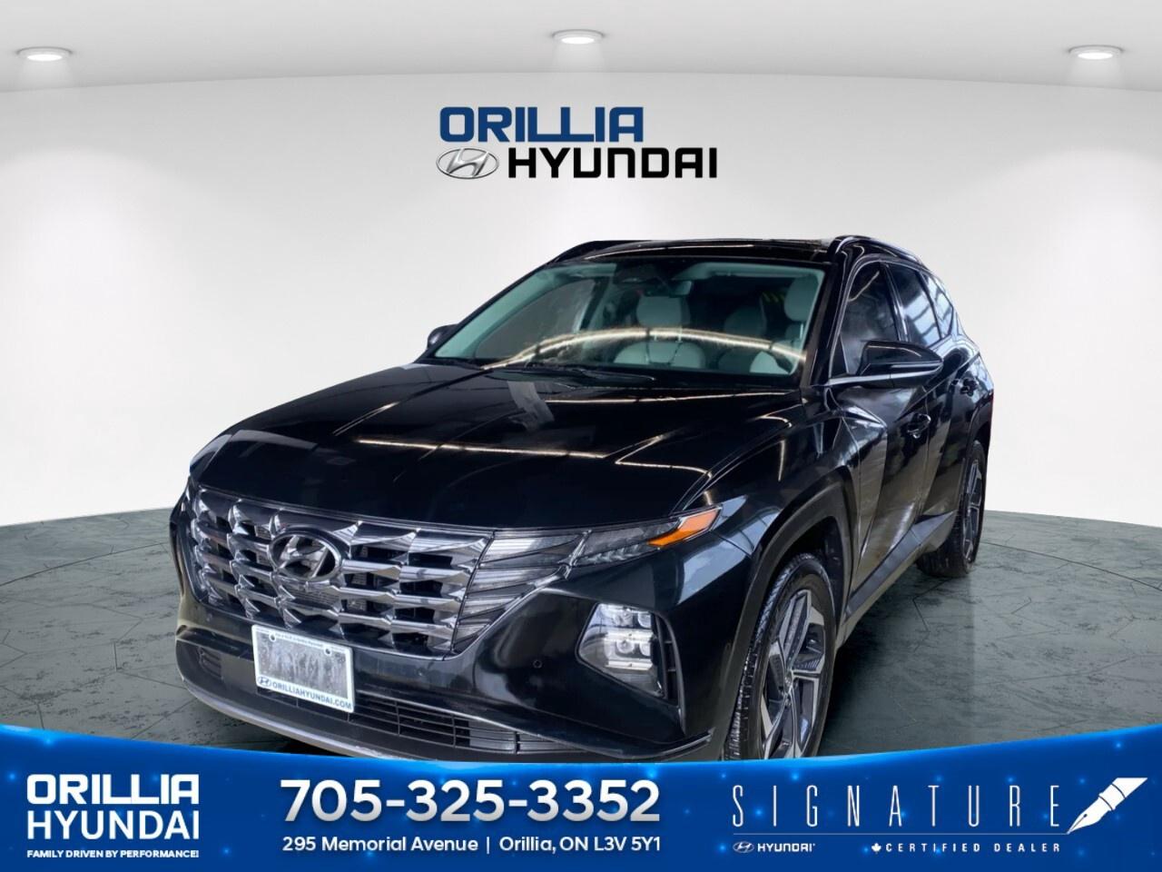 2024 Hyundai Tucson Hybrid Ultimate AWD Photo