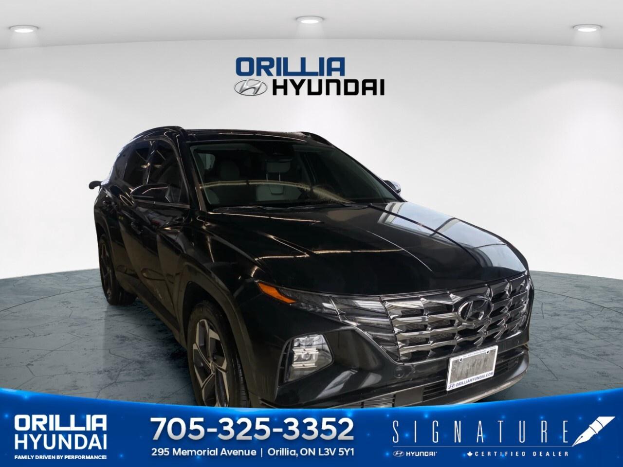 2024 Hyundai Tucson Hybrid Ultimate AWD Photo