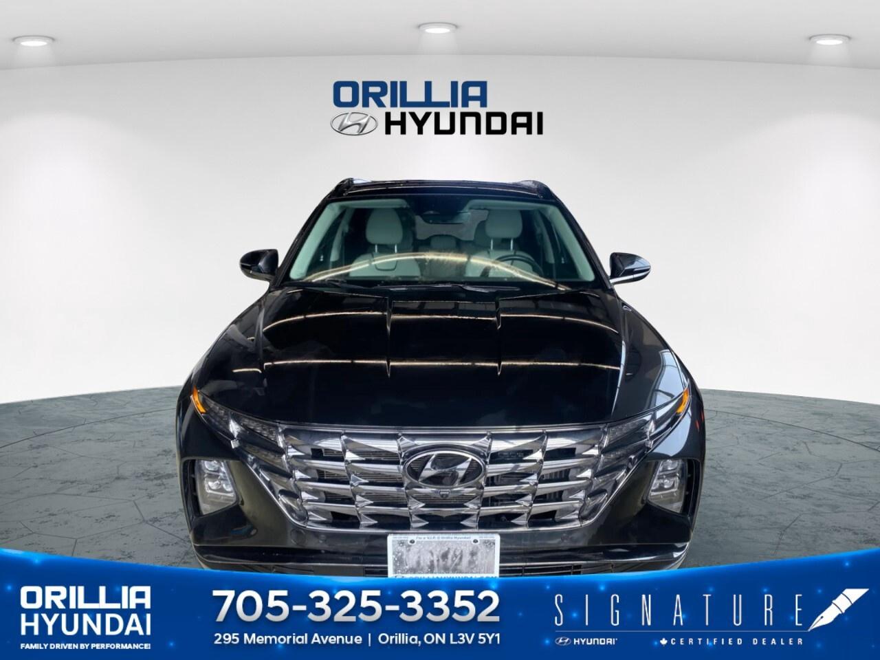 2024 Hyundai Tucson Hybrid Ultimate AWD Photo