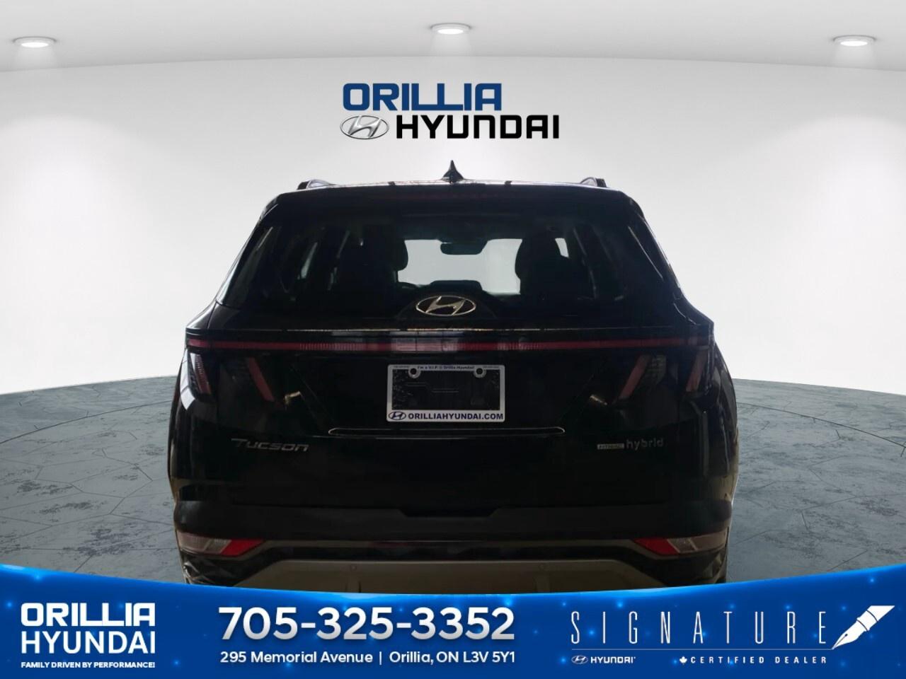 2024 Hyundai Tucson Hybrid Ultimate AWD Photo