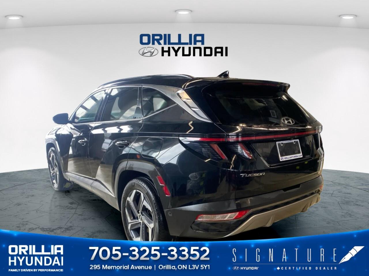 2024 Hyundai Tucson Hybrid Ultimate AWD Photo