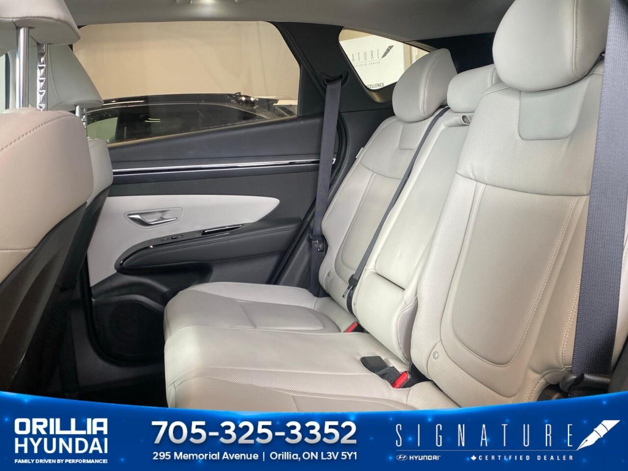 2024 Hyundai Tucson Hybrid Ultimate AWD Photo