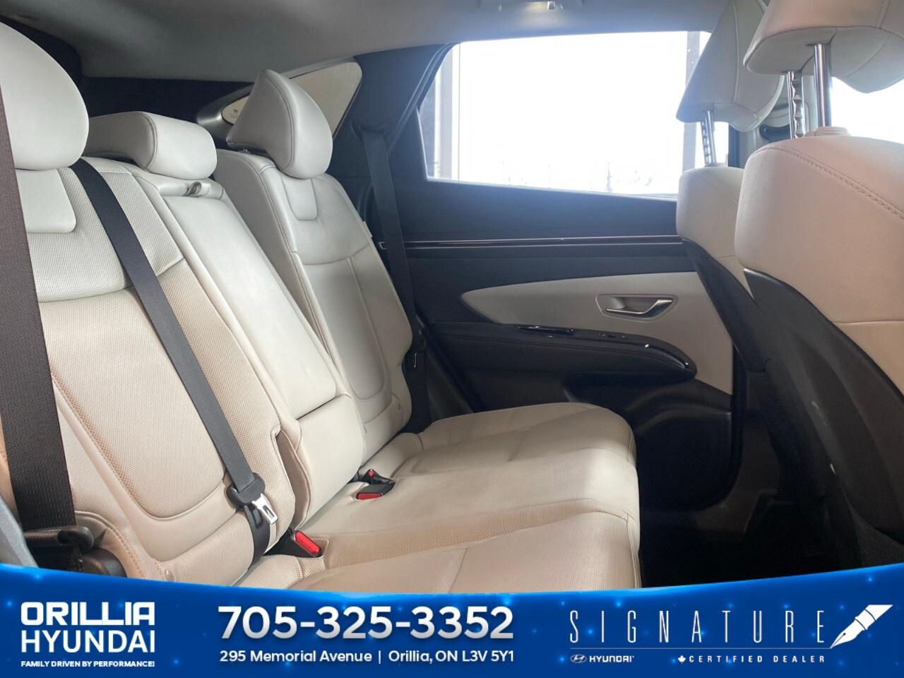 2024 Hyundai Tucson Hybrid Ultimate AWD Photo