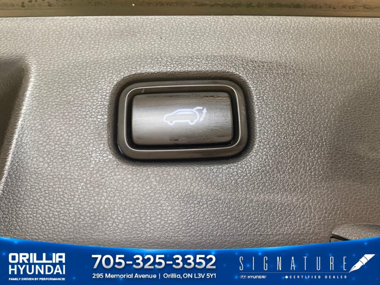 2024 Hyundai Tucson Hybrid Ultimate AWD Photo