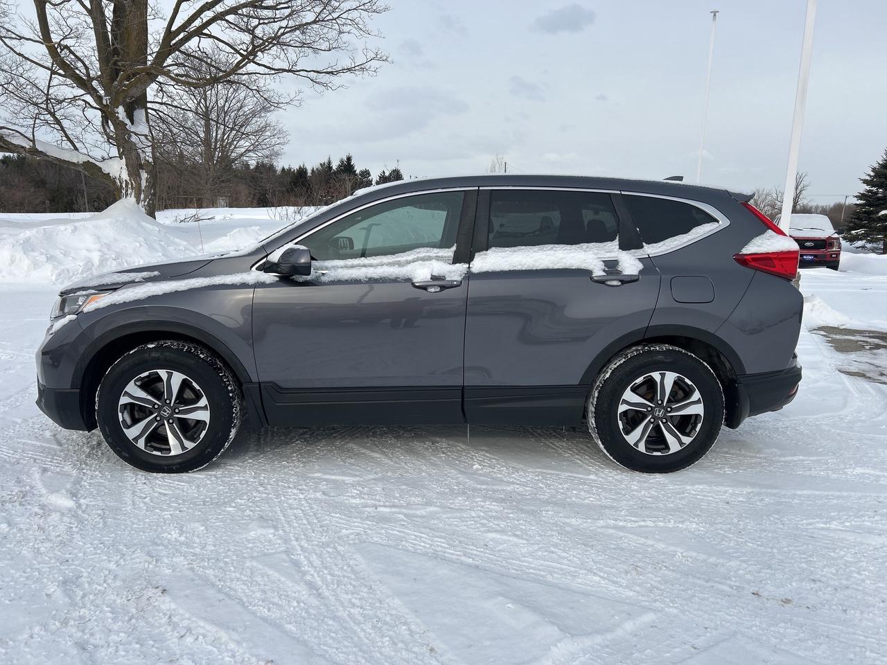 2017 Honda CR-V LX AWD   Heated Seats   Remote Start   Bluetooth Photo