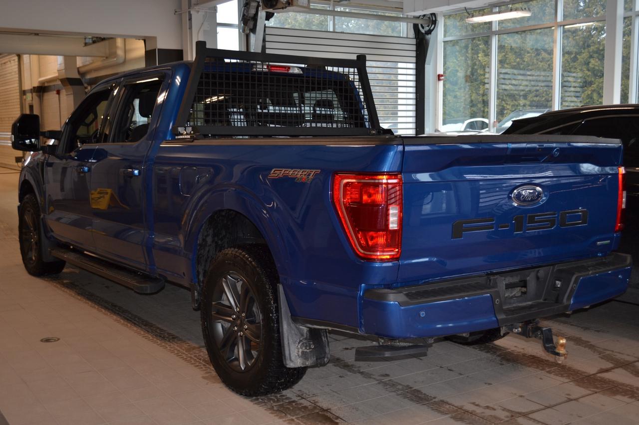 2022 Ford F-150 XLT Photo
