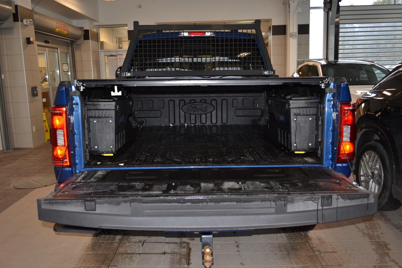 2022 Ford F-150 XLT Photo