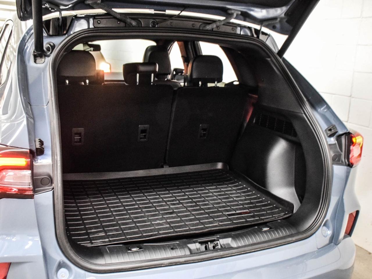 2023 Ford Escape  Photo