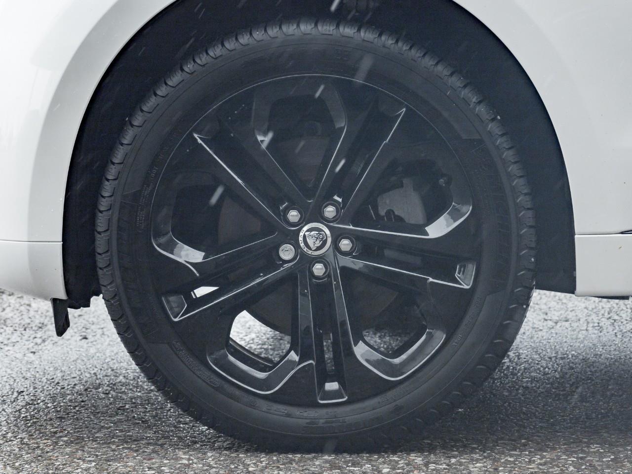 2024 Jaguar F-PACE P250 R-Dynamic S All-Wheel Drive Sport Utility Photo