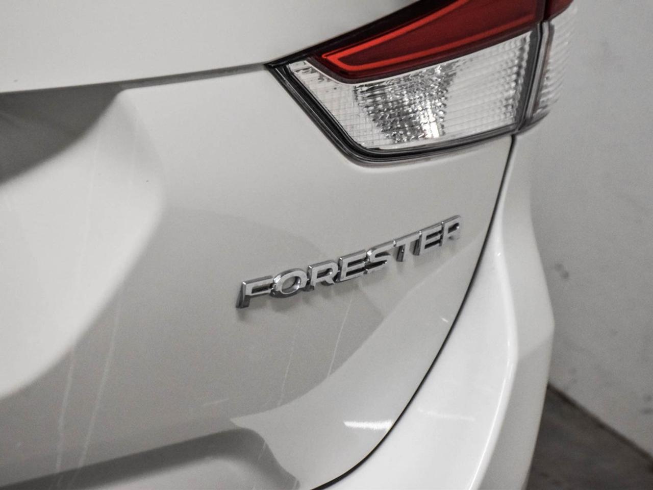 2024 Subaru Forester  Photo