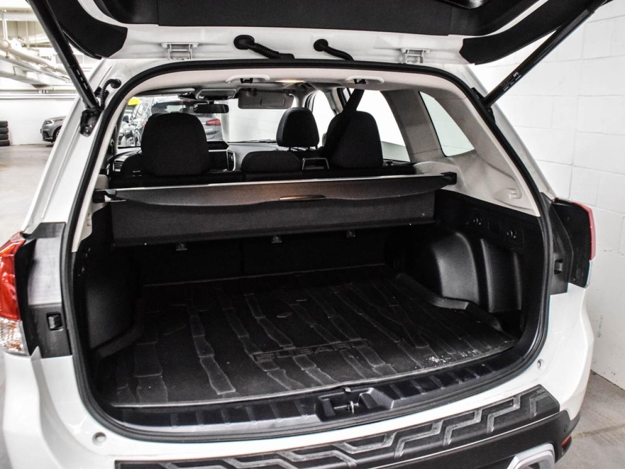 2024 Subaru Forester  Photo