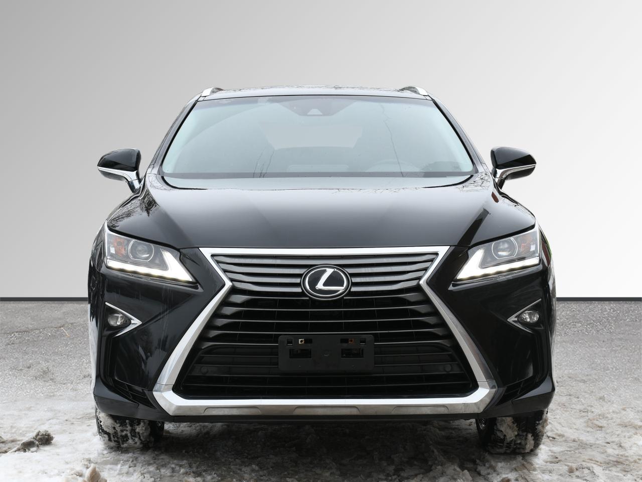 2019 Lexus RX rx 350 Photo2