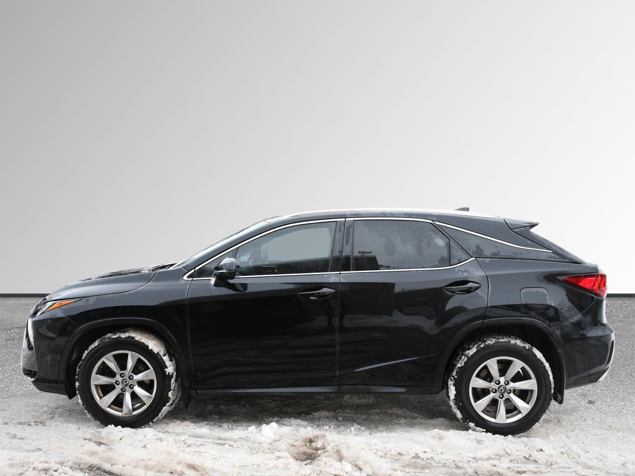 2019 Lexus RX rx 350 Photo