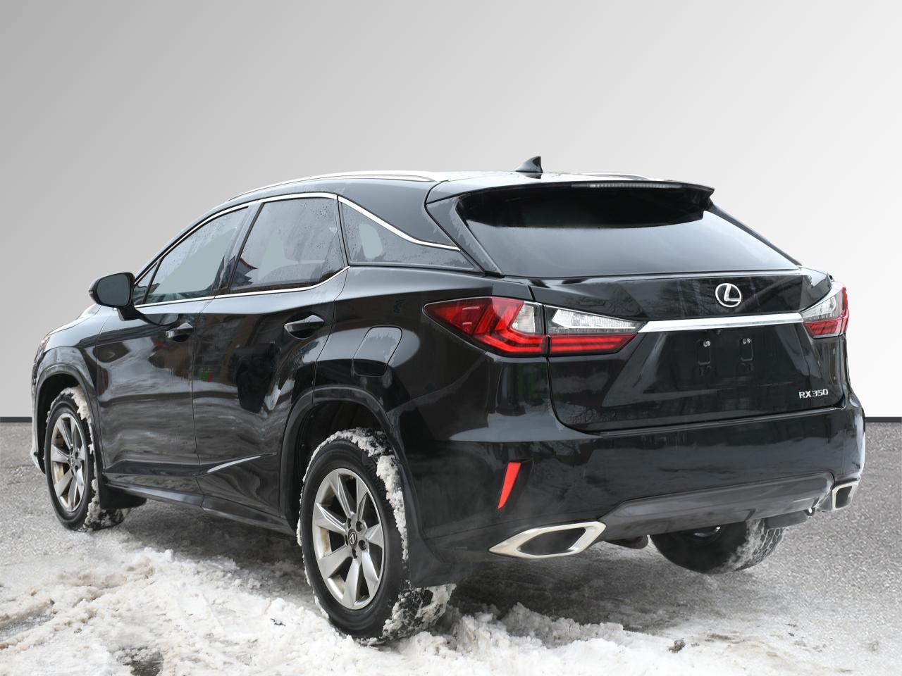 2019 Lexus RX rx 350 Photo