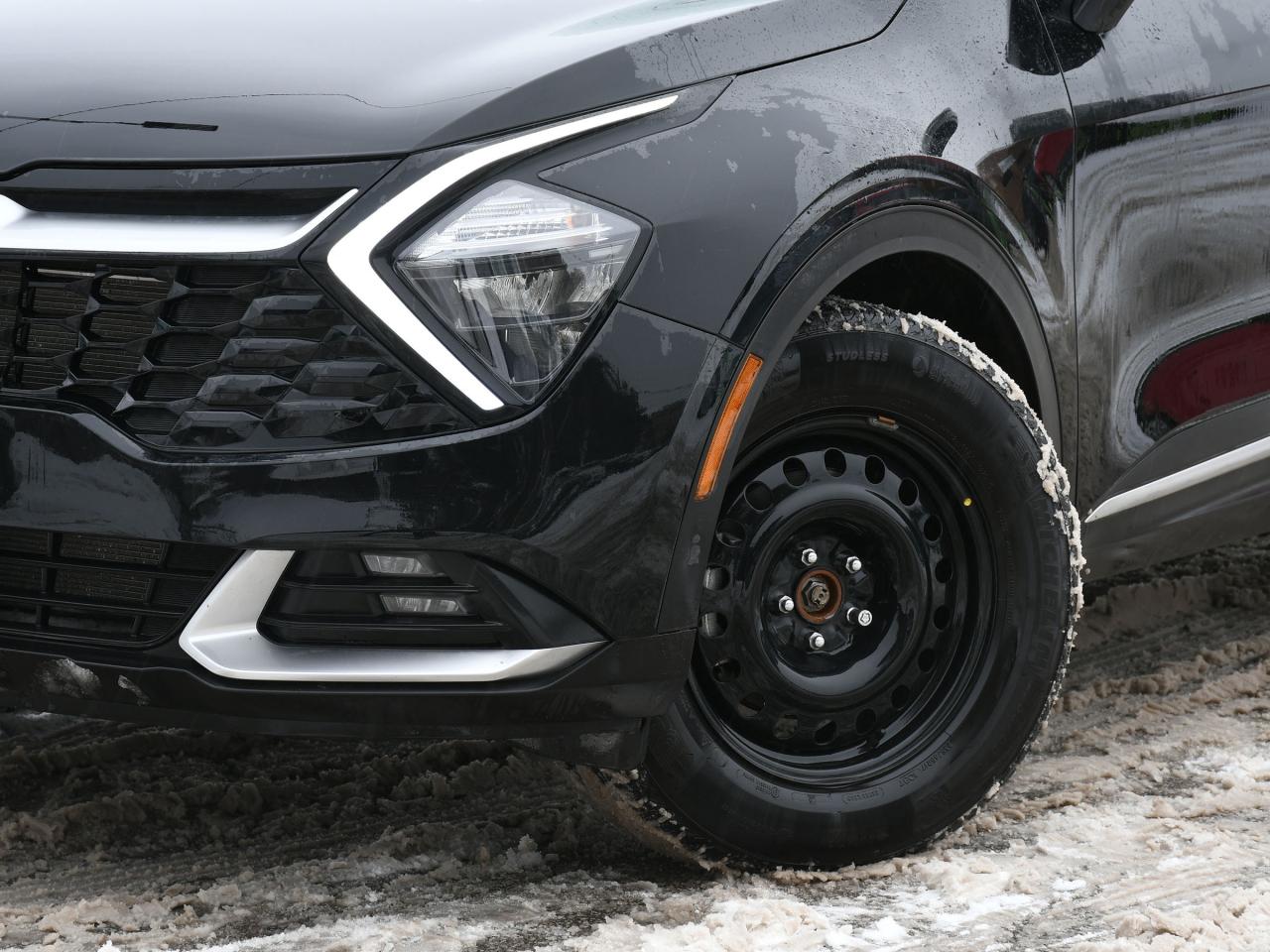 2025 Kia Sportage EX Photo