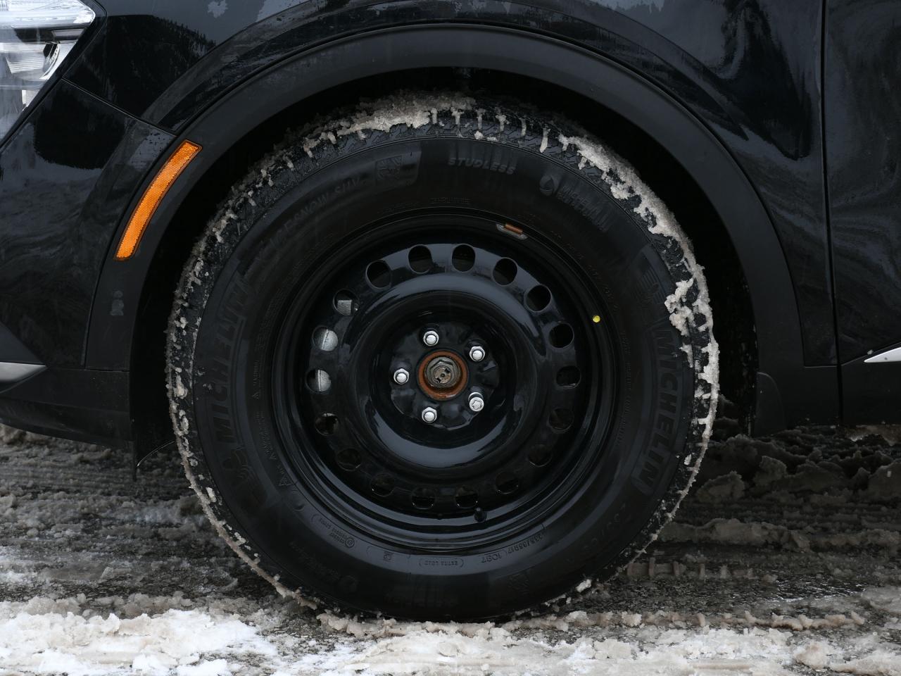 2025 Kia Sportage EX Photo