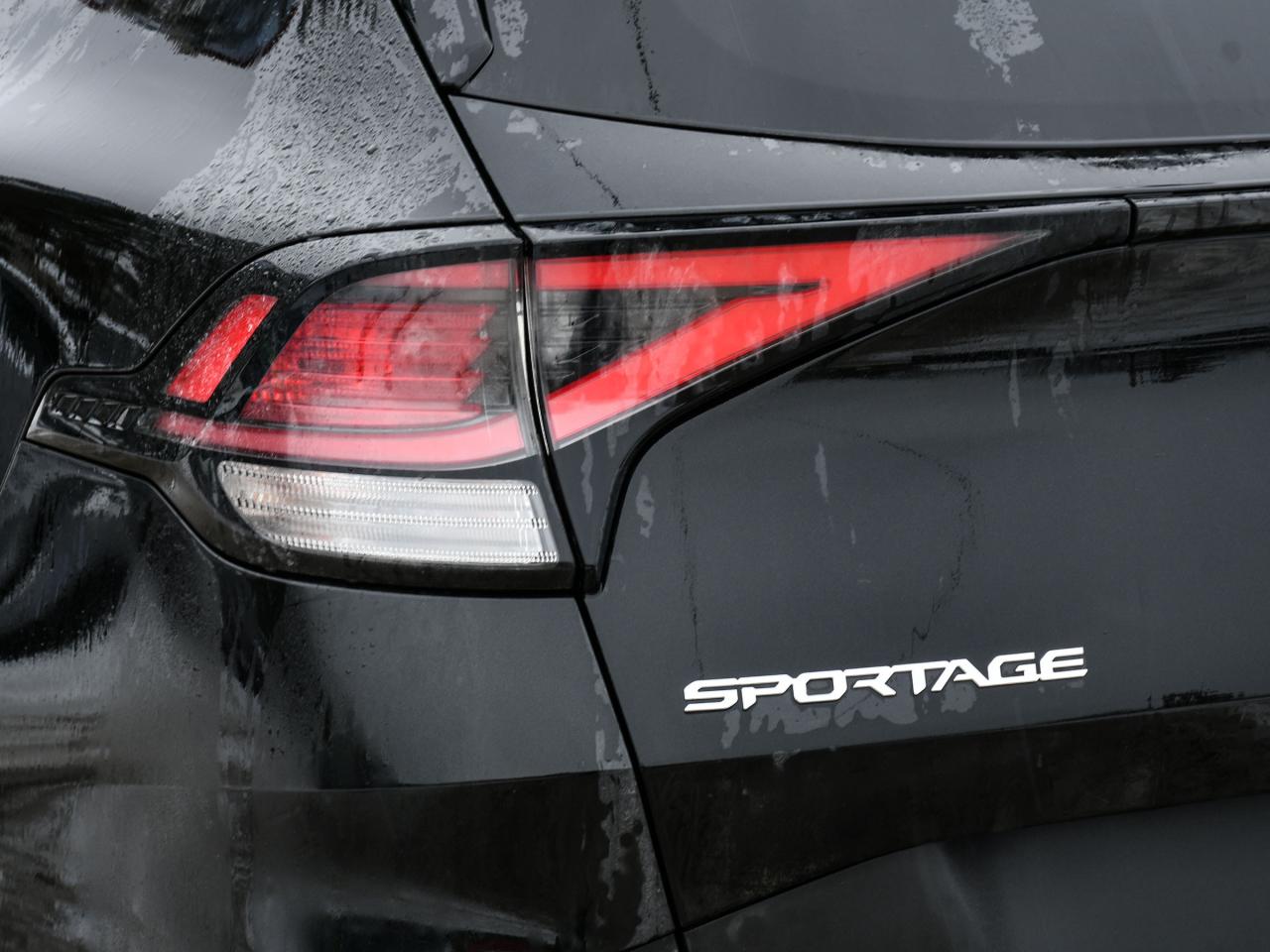 2025 Kia Sportage EX Photo