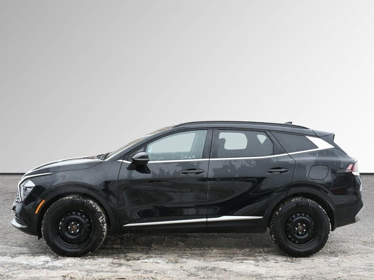 2025 Kia Sportage EX Photo