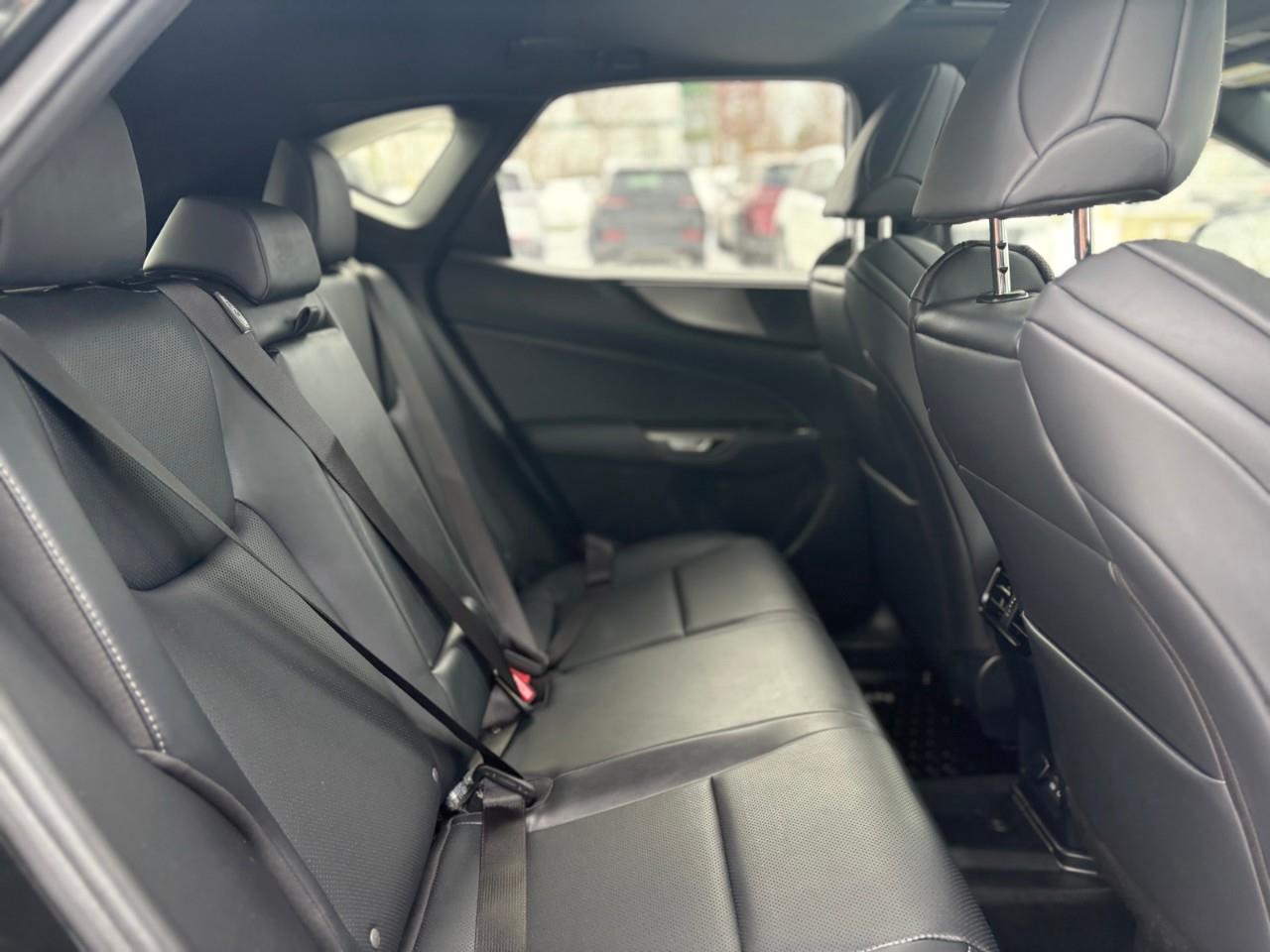 2022 Lexus NX 350 Base 4dr All-Wheel Drive Photo