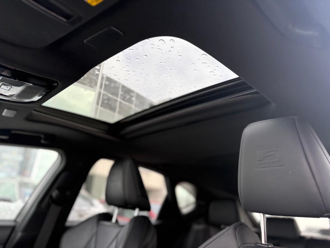 2022 Lexus NX 350 Base 4dr All-Wheel Drive Photo