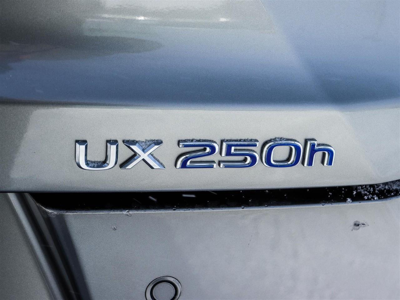 2020 Lexus UX 250H Base 4dr All-Wheel Drive Photo