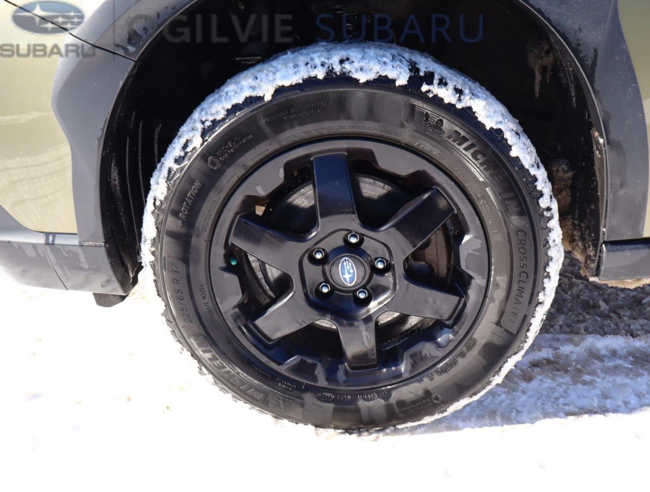 2023 Subaru Outback Wilderness 4dr All-Wheel Drive Photo