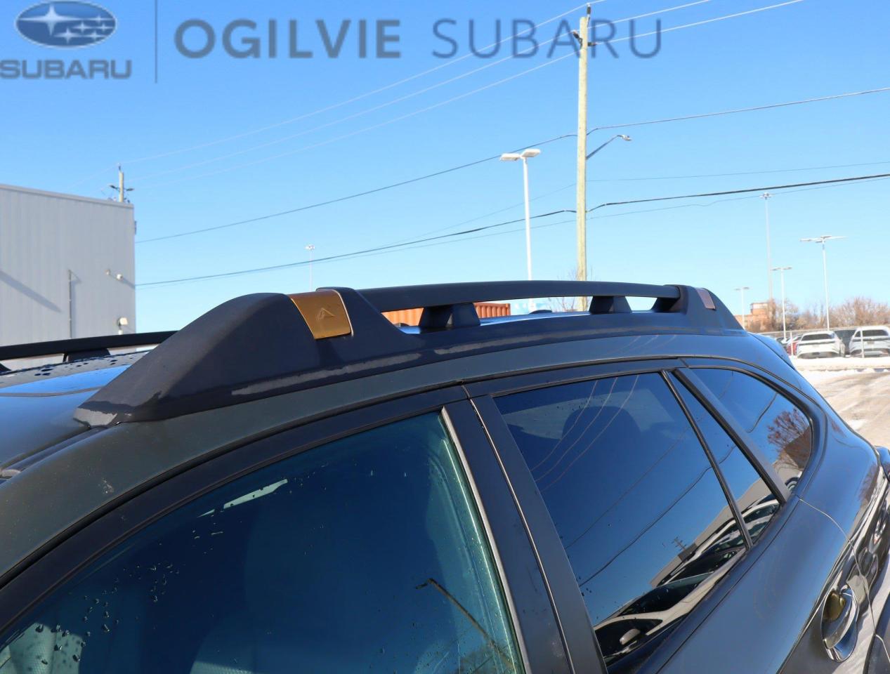 2023 Subaru Outback Wilderness 4dr All-Wheel Drive Photo