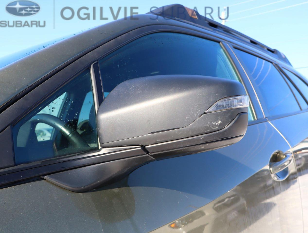 2023 Subaru Outback Wilderness 4dr All-Wheel Drive Photo