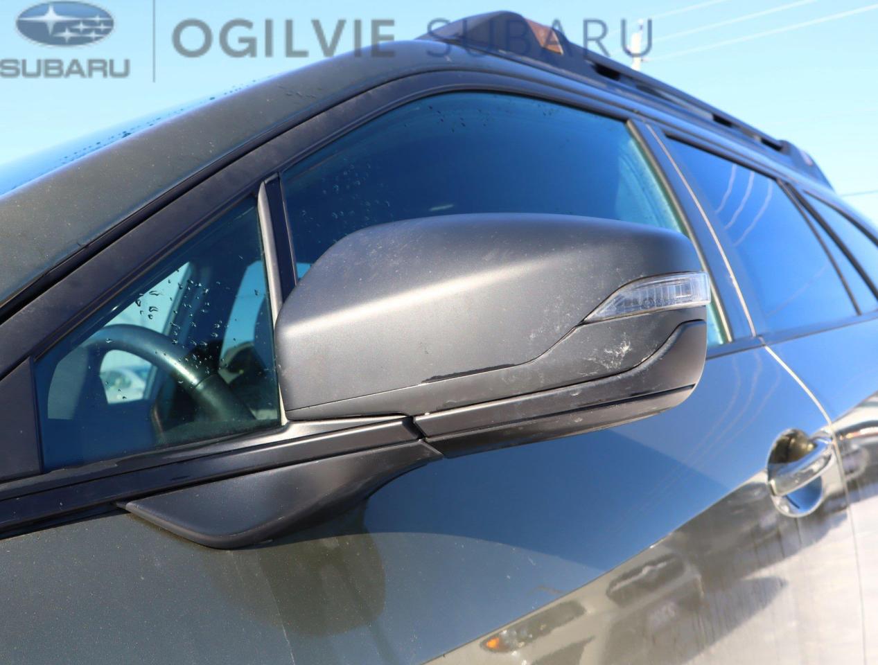 2023 Subaru Outback Wilderness 4dr All-Wheel Drive Photo