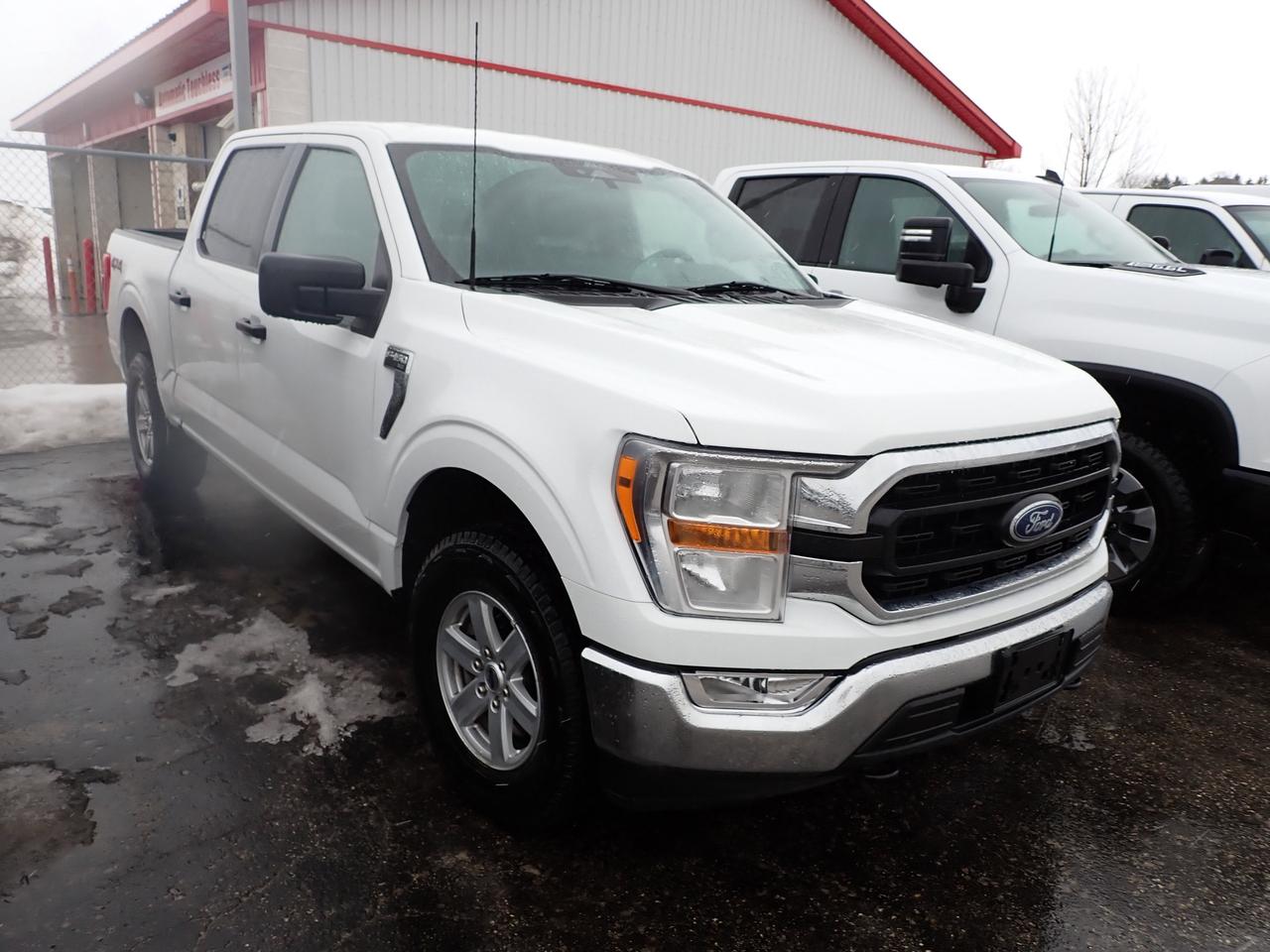 2022 Ford F-150 XLT SuperCrew 5.5-ft Box 4WD Photo0