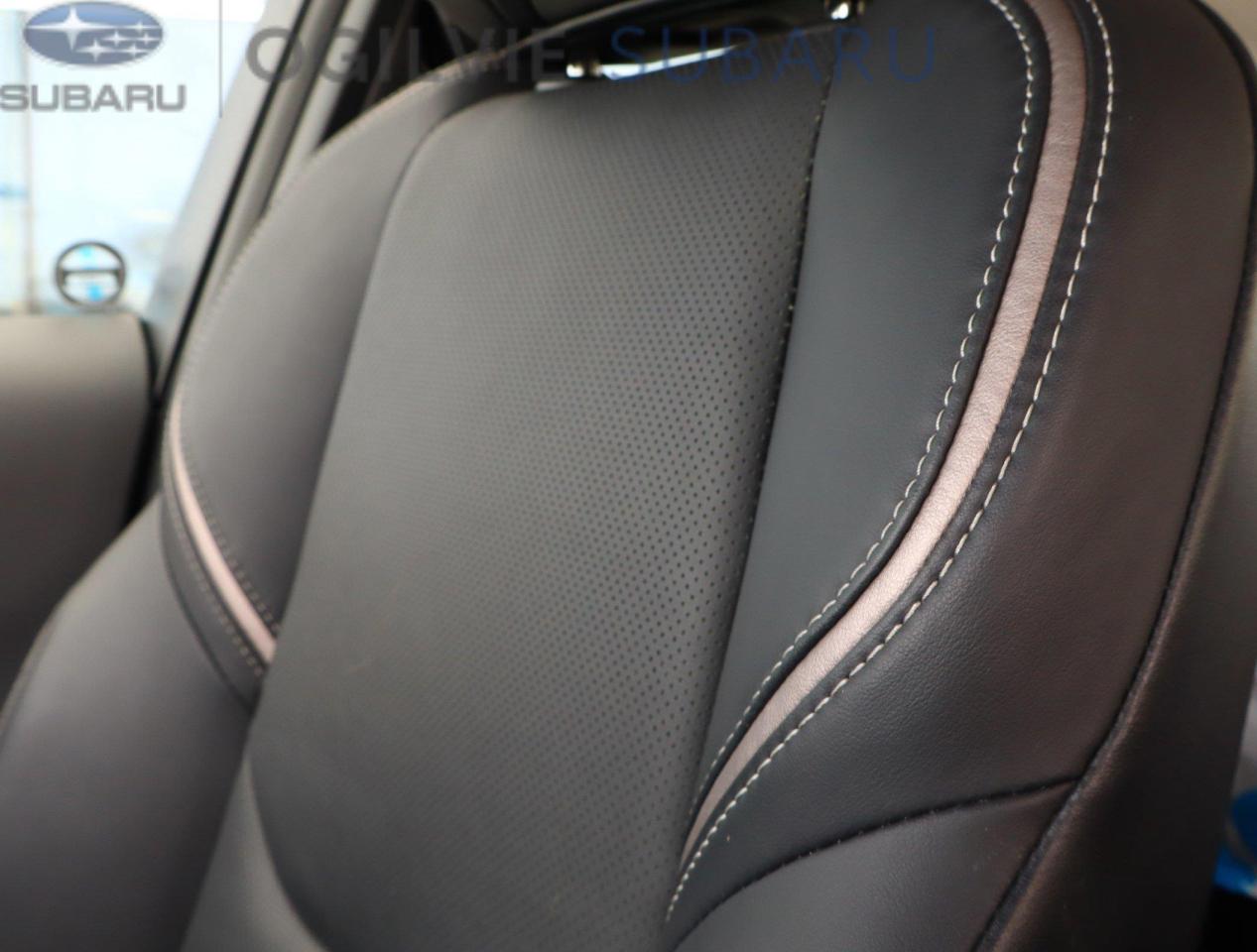 2023 Toyota Prius XLE 5dr AWD-e Hatchback Photo