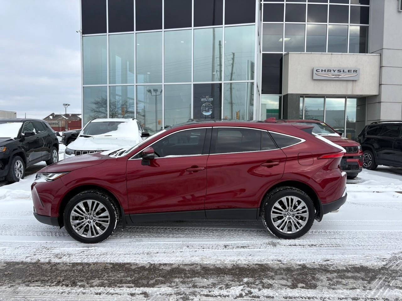 2023 Toyota Venza LE 4dr All-wheel Drive Photo