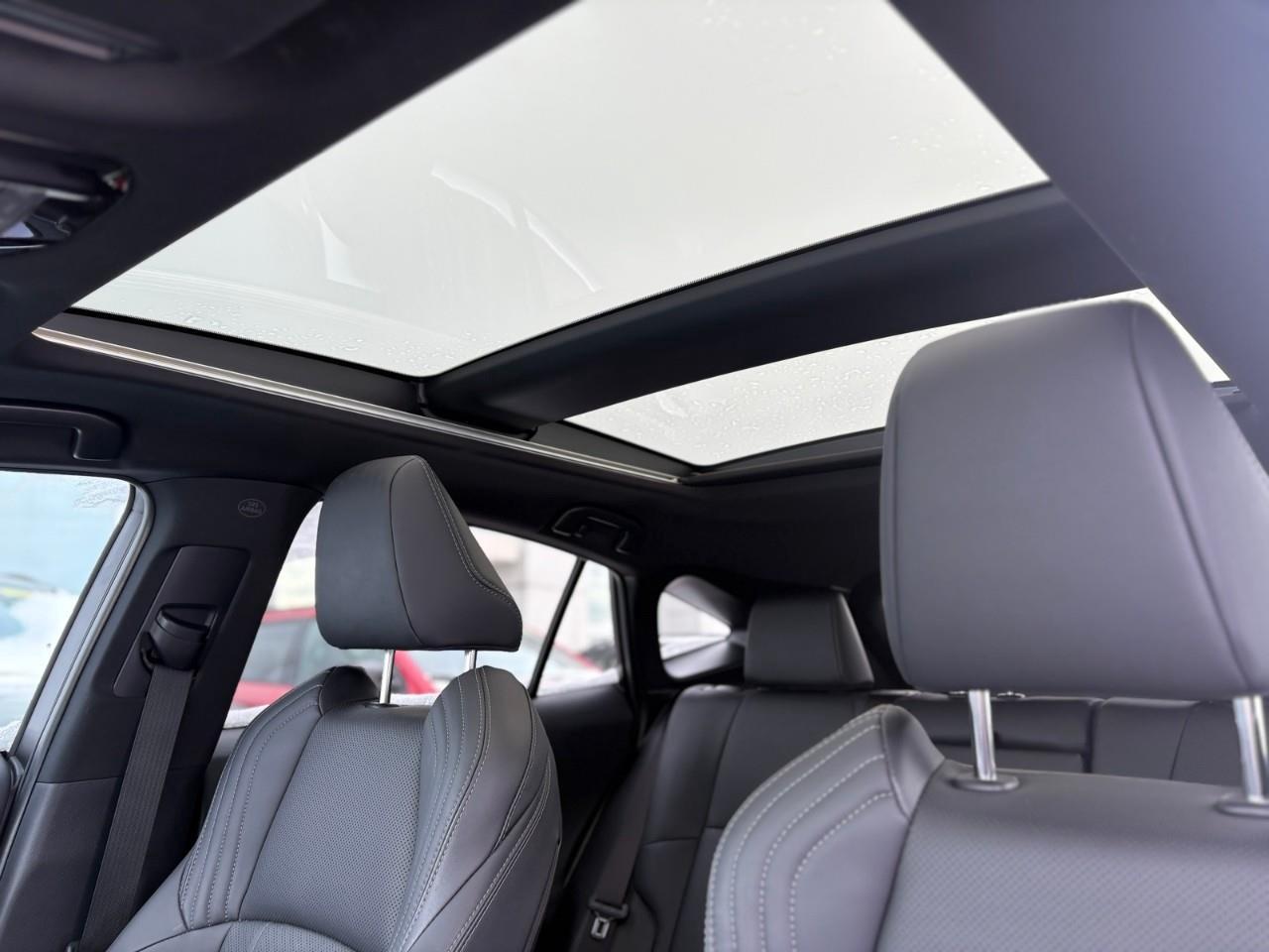 2023 Toyota Venza LE 4dr All-wheel Drive Photo